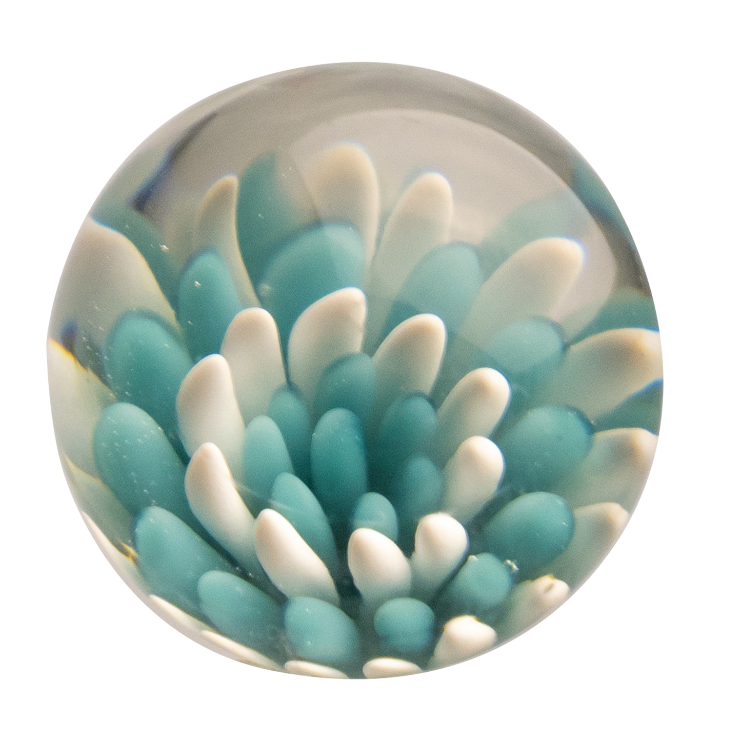Terp Slurper Marble Caps (15 Styles)