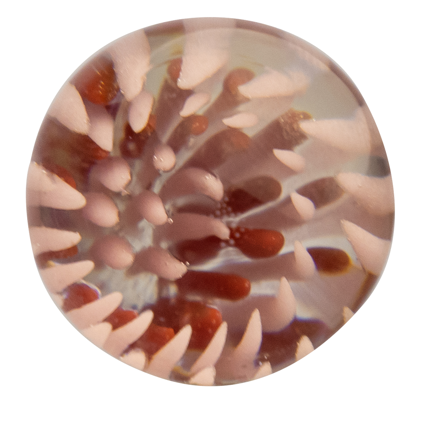 Terp Slurper Marble Caps (15 Styles)